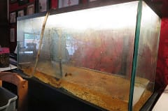 Tough Tows - Aquariums