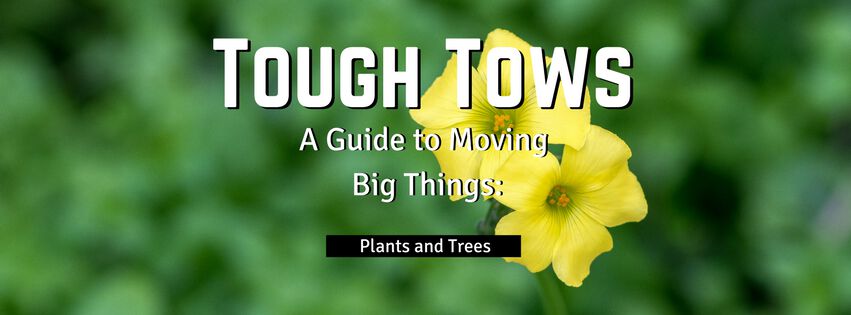 Tough Tows – Plants and Trees