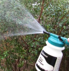 Tough Tows – Plants and Trees