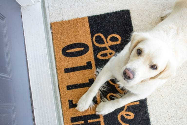 10 Ways to Increase Your Home's Curb Appeal