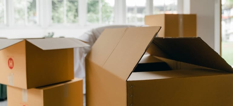 Picture of leftover moving boxes after relocation