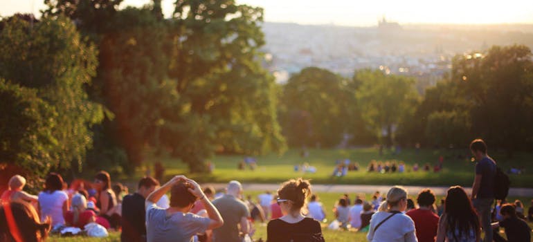 Popular Victoria neighborhoods for newcomers, featuring a photo of trees.