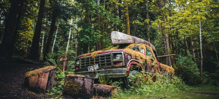 an old, rusty car in a forest