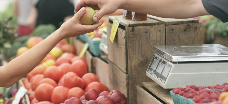 a person buying apples at a farmer's market