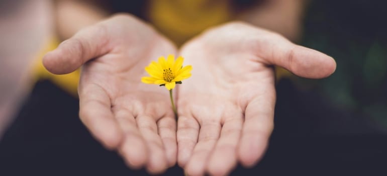 a person holding a flower