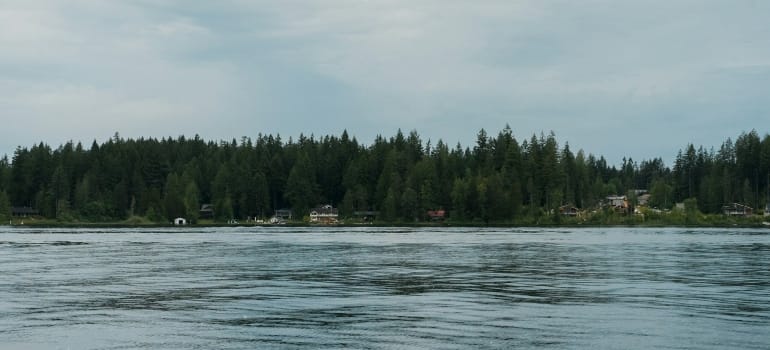 Picture of Shawnigan Lake