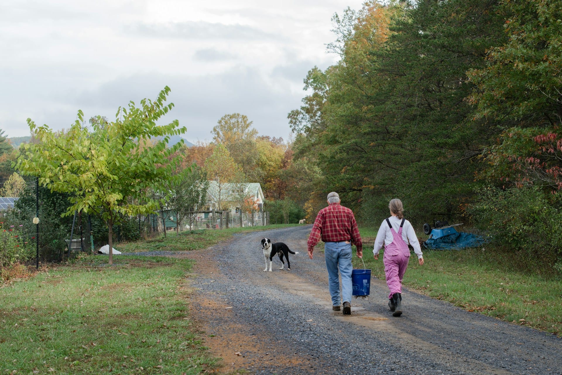 Picture of people in a rural area