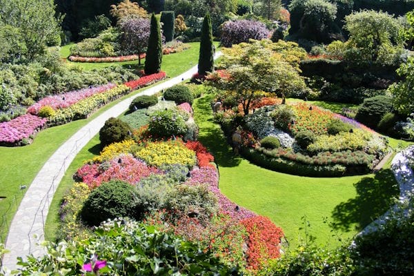 a beautiful park you'll have access to after moving from the USA to Victoria
