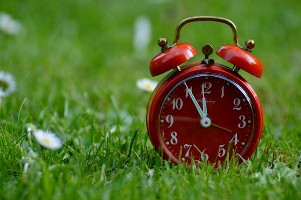 Clock in the grass