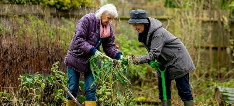 Women Planting Plants on the Garden