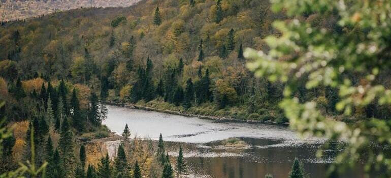 nature to expect from Langford BC 