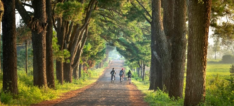 Three Children Riding Bicycles