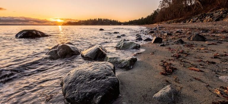 a sea and beach and a lot of rocks