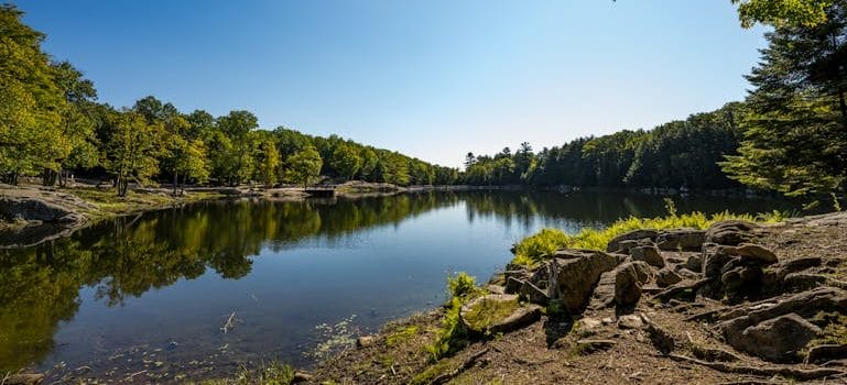 lake during the day