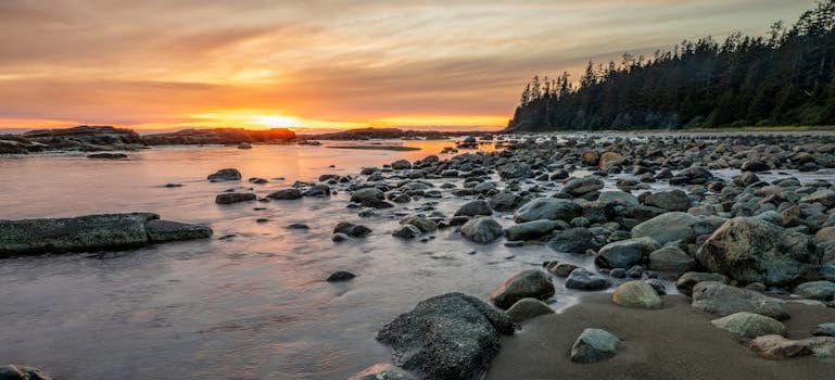 Moving Metchosin BC to be close to nature