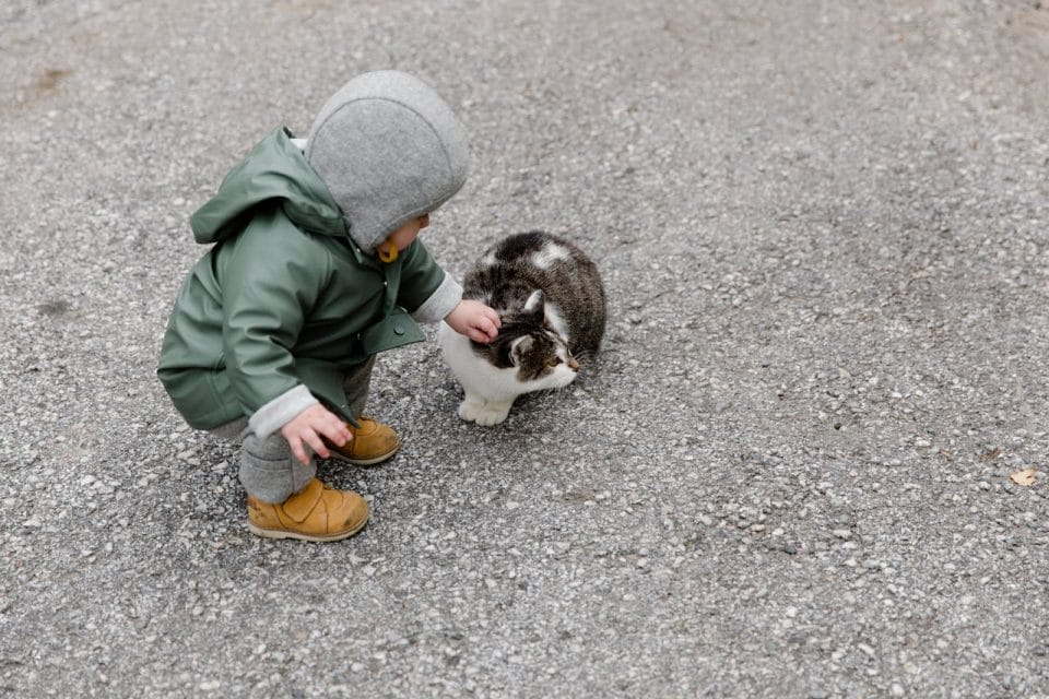 a kid with a cat