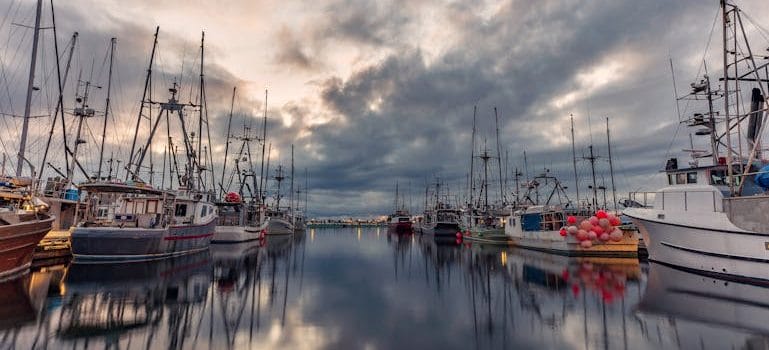 Parked Sail Boats on Body of Water