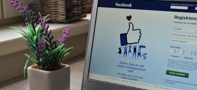 Laptop Near Plant
