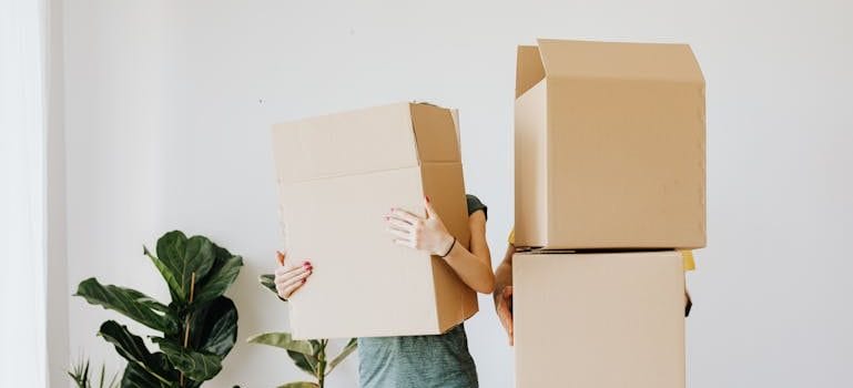 The Role of Professional Movers in Making Your BC Relocation Seamless and carrying boxes