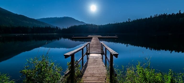Brown Wooden Dock