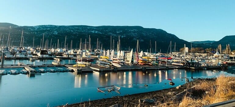 a harbor with boats