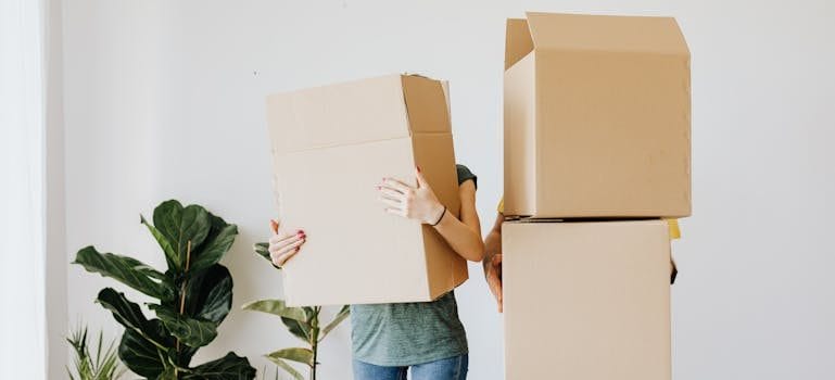 Couple carrying cardboard boxes in living room