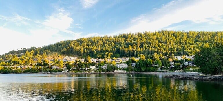 lake during the day