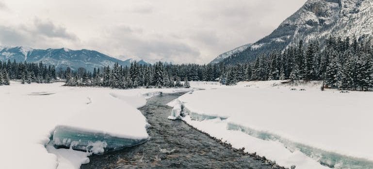 Winter Landscape 