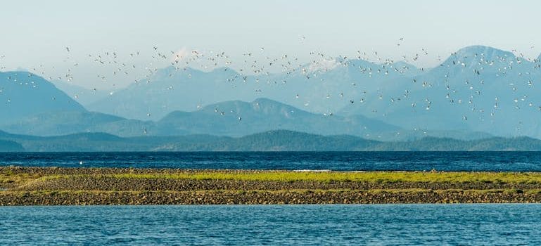 Cobble Hill is One of BC’s Best Small Towns to Live In because of its nature