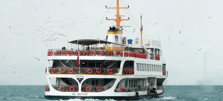 White Ship