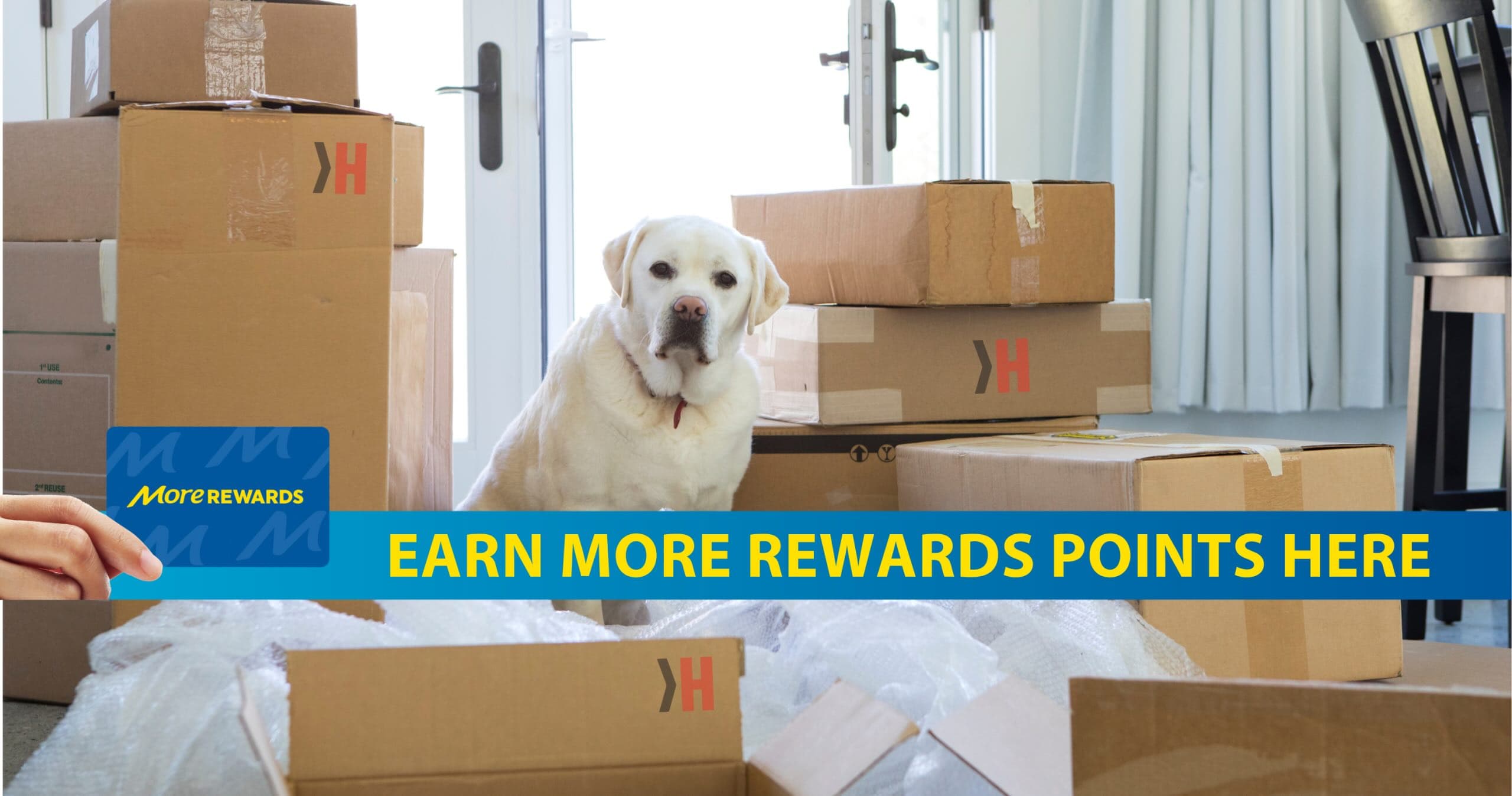 More-Rewards-Mid-Page-Image-with-Banner-2-scaled
